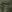 Warrior X300 Pack Olive Drab