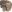 Elite Ops Enhanced PLB MK4 Utility Combo Coyote Tan