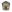 Warrior LPC V1 DFP MK1 Low Profile Plate Carrier Combo with 3x Universal Open Mag Pouches, 2x Utility Pouches, 2x 9mm Pistol Mag Pouches