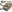 Warrior Falcon Chest Rig MultiCam