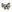 Warrior Low Profile Direct Action Mk1 Shooters Belt MultiCam