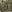 Warrior Single DA 9mm Pistol Olive Drab