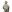 MCR MK1 Type 1 Chest Rig Delta with H Harness