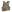 Warrior QRC DFP TM4 Quad Release Plate Carrier Combo with Detachable Triple 5.56 M4 Covered Mag Panel