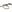 Warrior Tango Personal Retention Lanyard Multicam