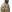 Warrior Small MOLLE Utility MultiCam