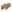 Warrior Firestorm Hard Knuckle Glove Coyote Tan