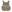 Warrior QRC DFP TM4 Quad Release Plate Carrier Combo with Detachable Triple 5.56 M4 Covered Mag Panel